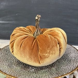 Handmade velveteen pumpkin with real stalk